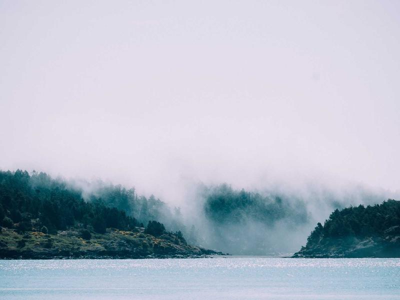 sudoku forcing chains screenshot 6