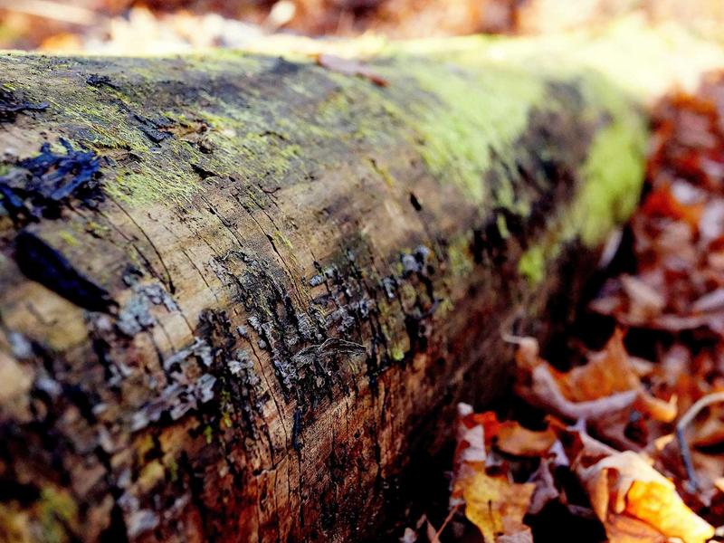 sudoku number placement screenshot 3