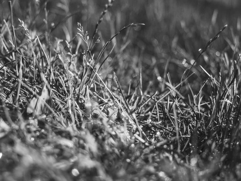 windows screenshot 3